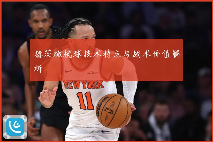 赫茨橄榄球技术特点与战术价值解析