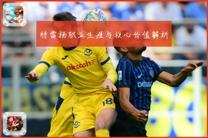 特雷杨职业生涯与核心价值解析