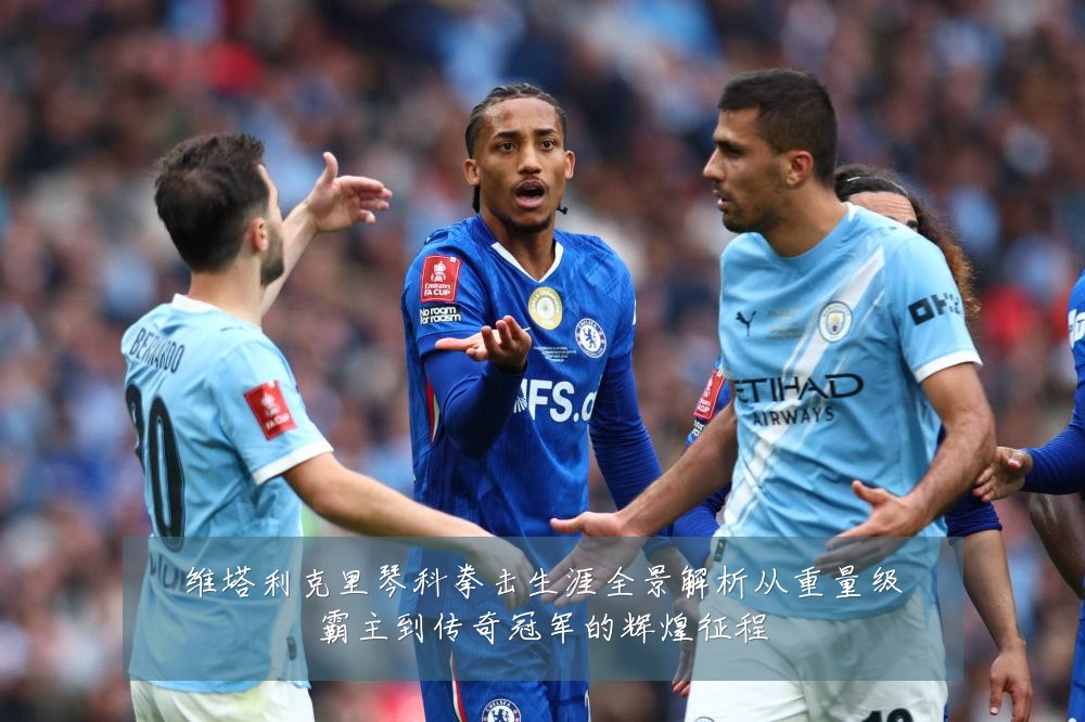 维塔利克里琴科拳击生涯全景解析从重量级霸主到传奇冠军的辉煌征程