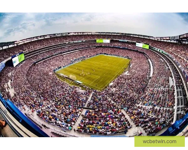 2026世界杯体育场精彩赛事与周边设施全景探秘指南